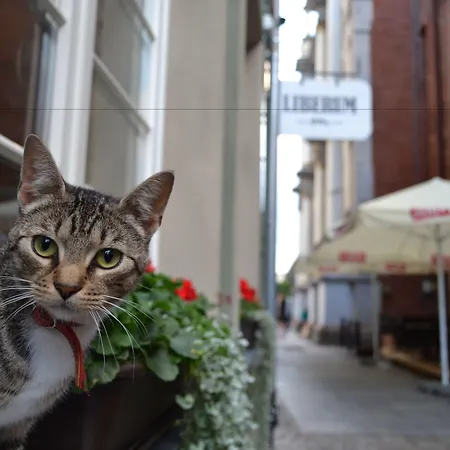 Liberum Old Town Апарт-отель Гданьск