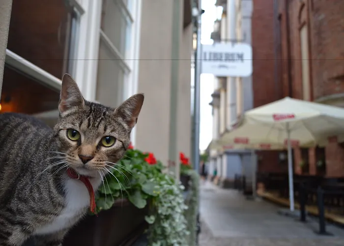 Liberum Old Town Апарт-отель Гданьск